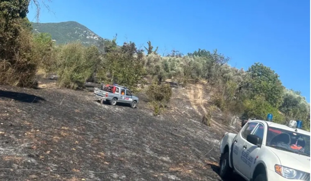 Marcellina, incendio distrugge oltre cento alberi di ulivo. Non si esclude la natura dolosa