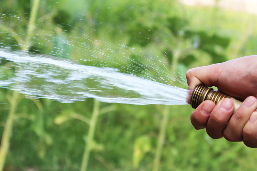 Palombara Sabina, emergenza idrica: scatta il divieto di innaffiare con l’acqua non potabile