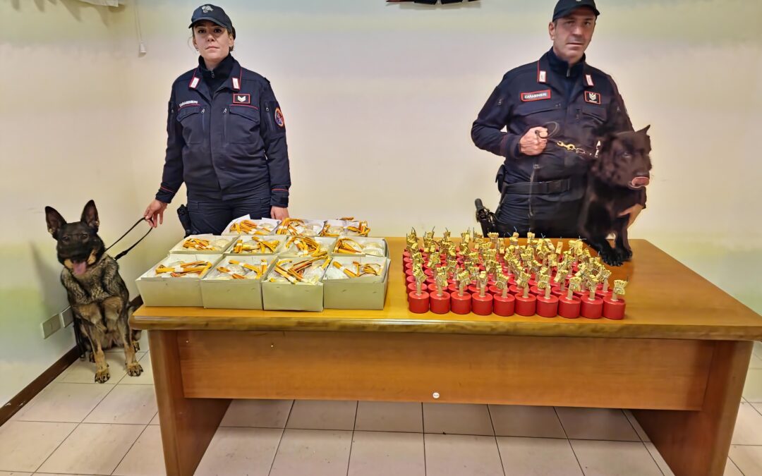 Ostia, durante operazione antidroga rinvenuti anche 122 bombe carta, armi, munizioni e 49 mila euro in contanti